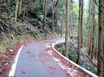 梨ノ峠P.jpg
